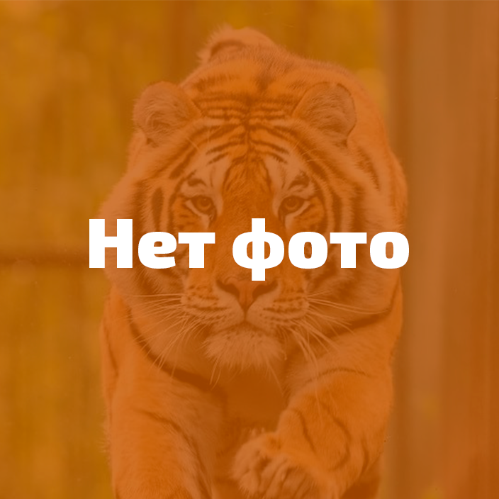 Яна Олейник